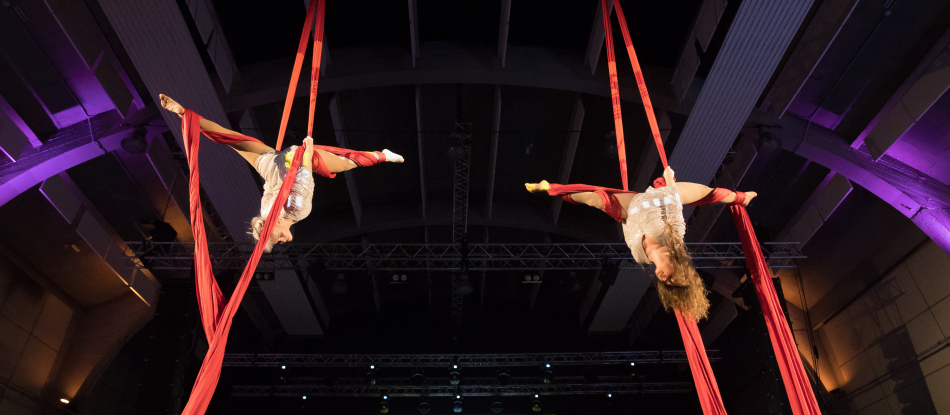 Aerial Silks