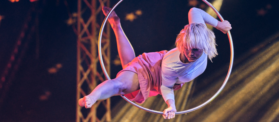 Aerial Hoop